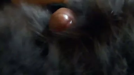Gitarist cums op nederlandse gratis porno tieten Groupis.