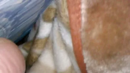 Vriendinnen worden opgewonden tijdens nederlandse porno free de copulatie.