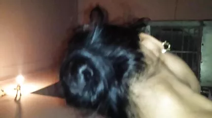 Adriana gratis ned porno Chechik neukt in de kont met Heren.